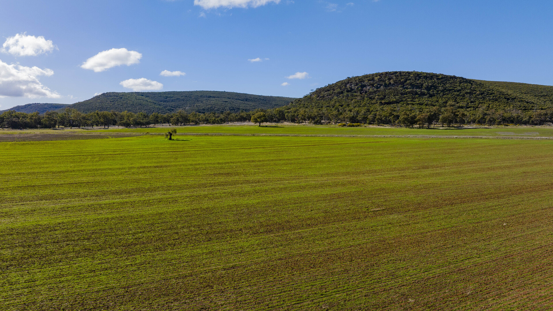 Barellan Road, Colinroobie NSW 2700 - photo 9