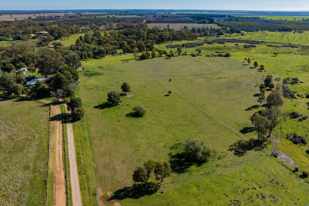 149 Poulsen Road, Leeton NSW 2705 - photo 2