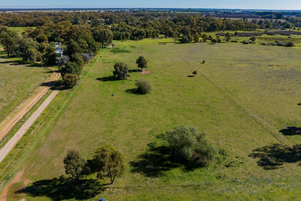 149 Poulsen Road, Leeton NSW 2705 - photo 13