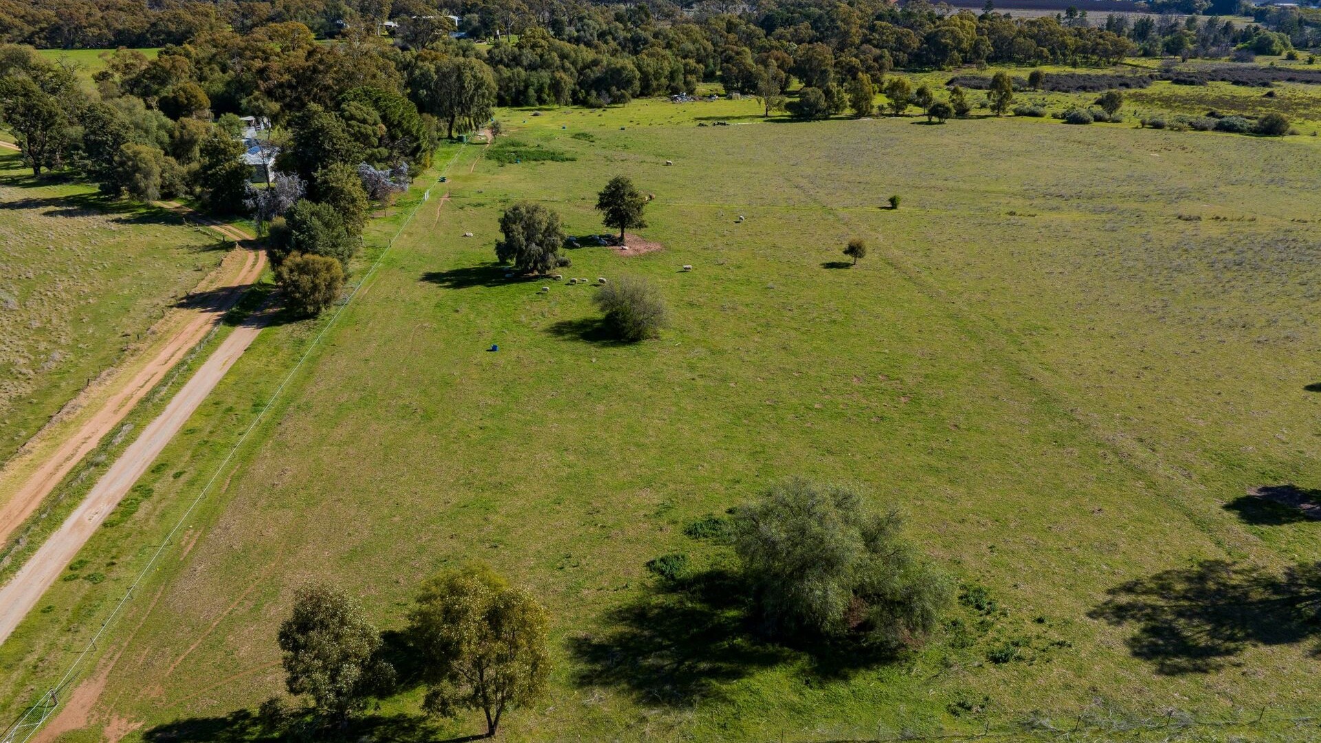149 Poulsen Road, Leeton NSW 2705 - photo 13