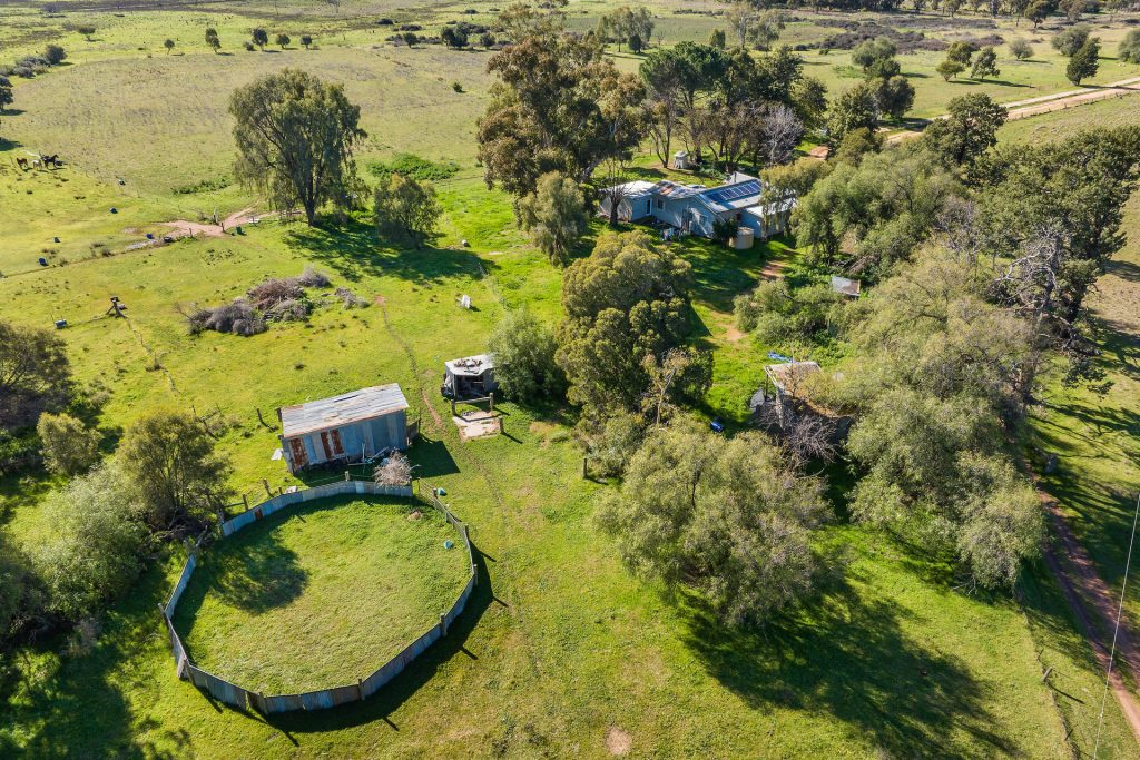 149 Poulsen Road, Leeton NSW 2705 - photo 14
