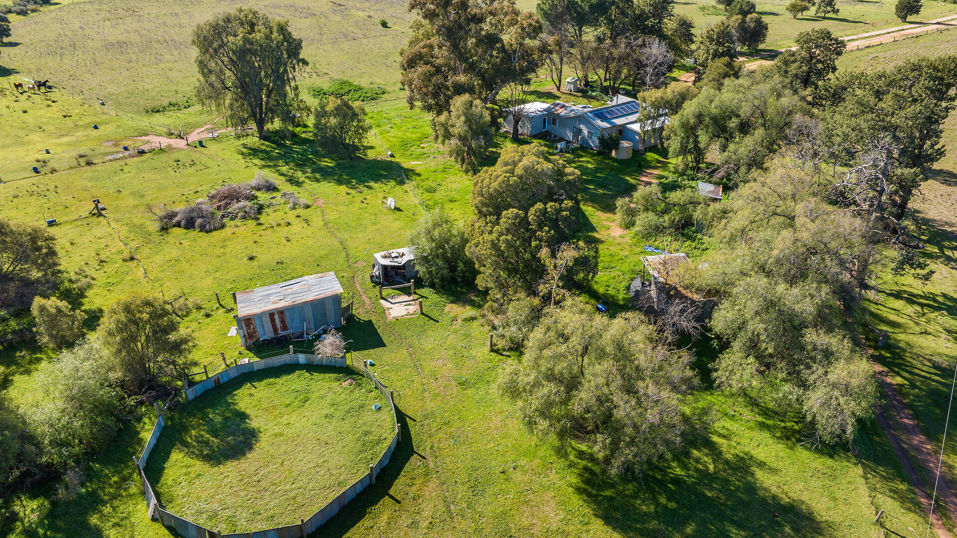 149 Poulsen Road, Leeton NSW 2705 - photo 14
