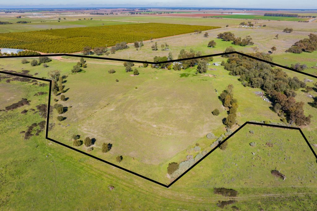 149 Poulsen Road, Leeton NSW 2705 - photo 15