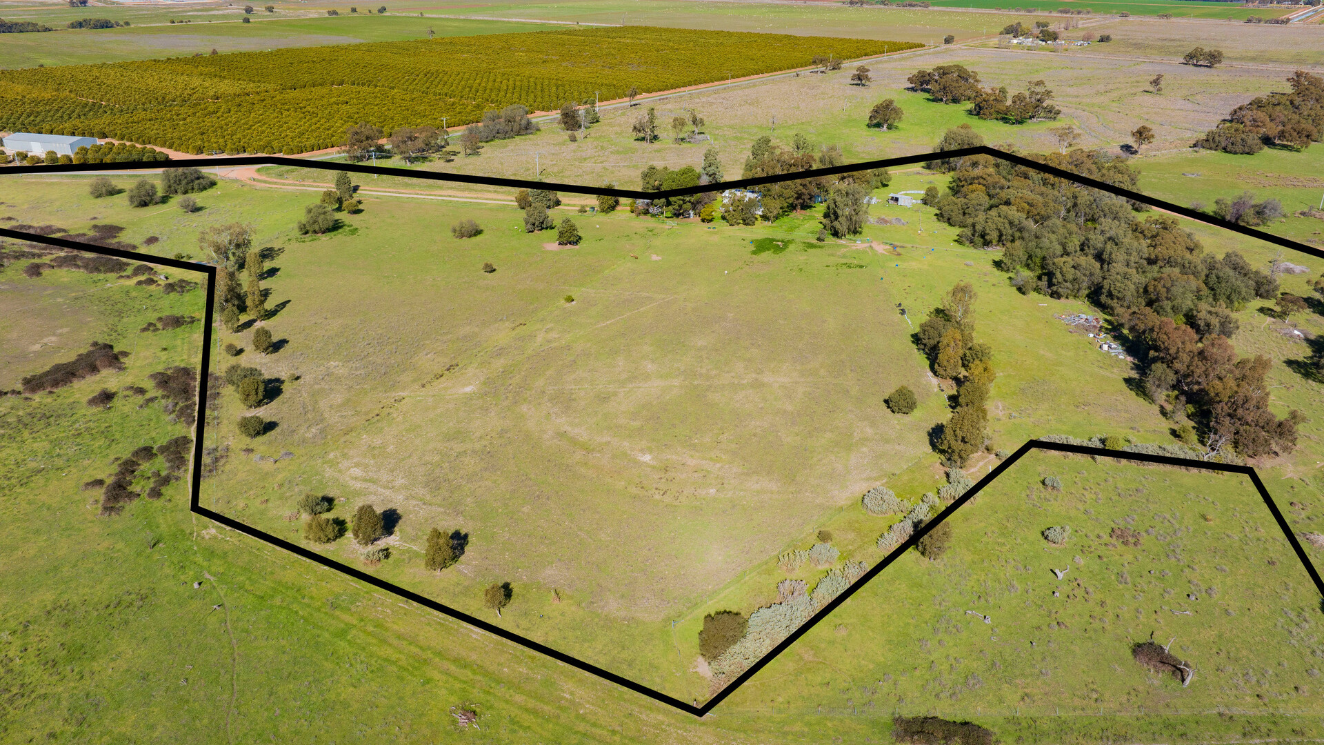149 Poulsen Road, Leeton NSW 2705 - photo 15