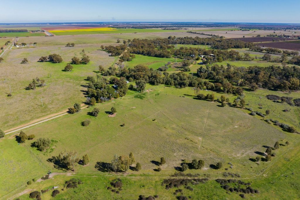 149 Poulsen Road, Leeton NSW 2705 - photo 3