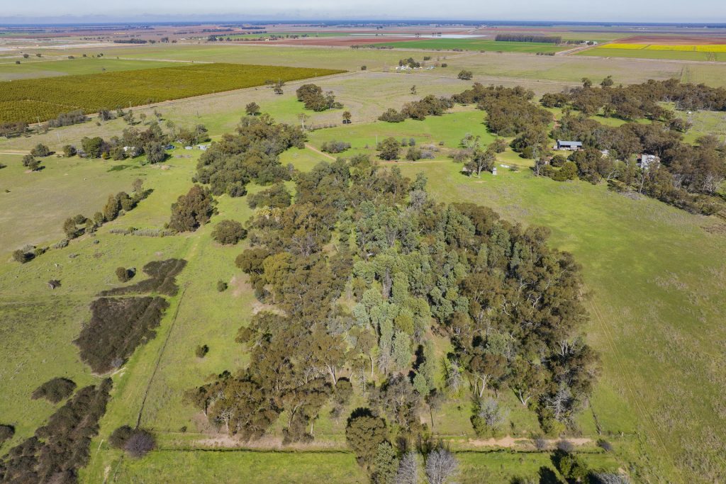 149 Poulsen Road, Leeton NSW 2705 - photo 4