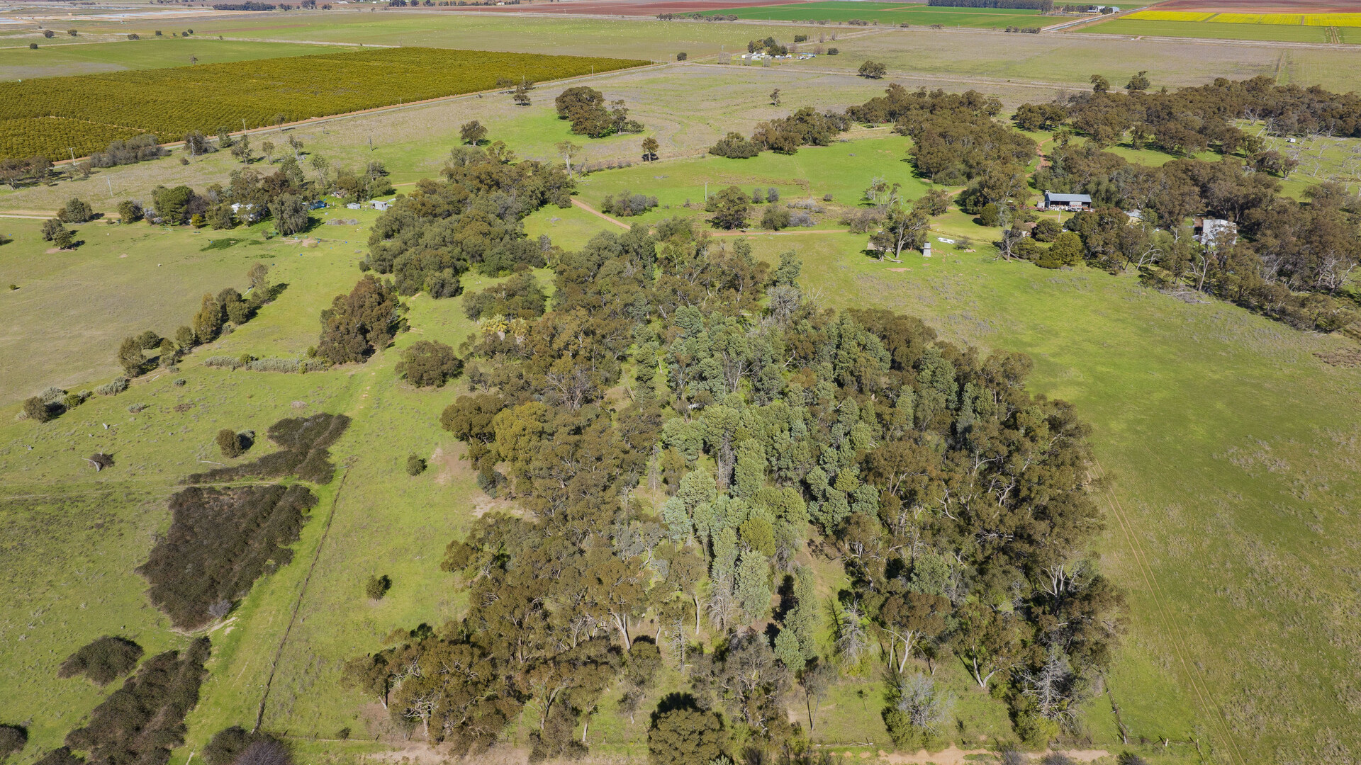 149 Poulsen Road, Leeton NSW 2705 - photo 4
