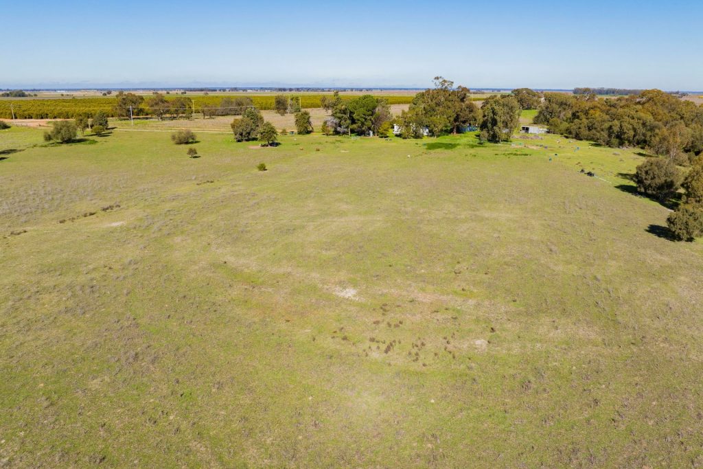 149 Poulsen Road, Leeton NSW 2705 - photo 5