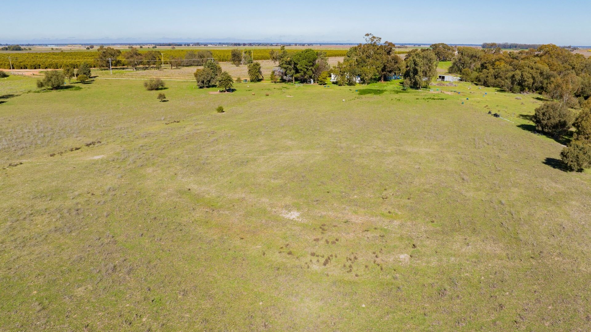 149 Poulsen Road, Leeton NSW 2705 - photo 5