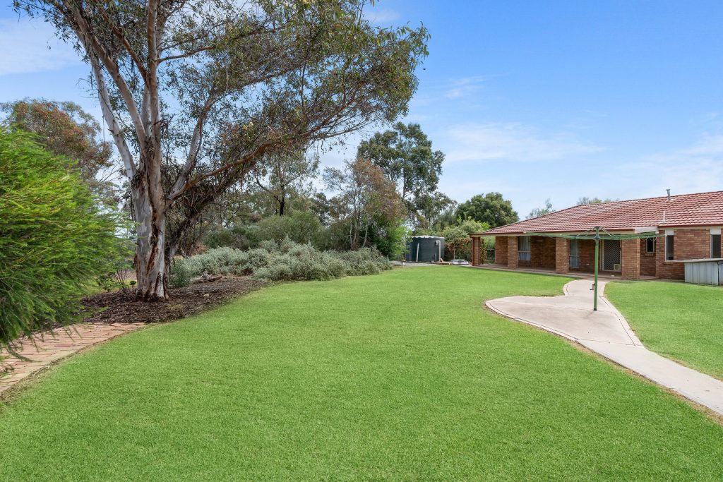 3 Mystic Place, Leeton NSW 2705 - photo 14
