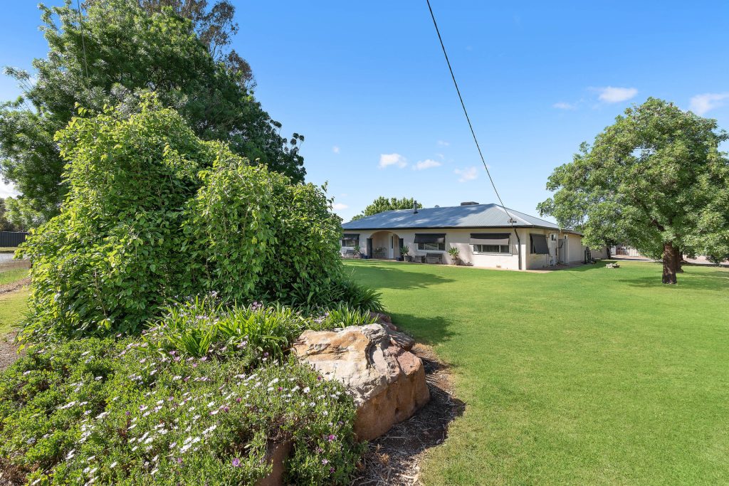 55 Grigg Road, Leeton NSW 2705 - photo 20
