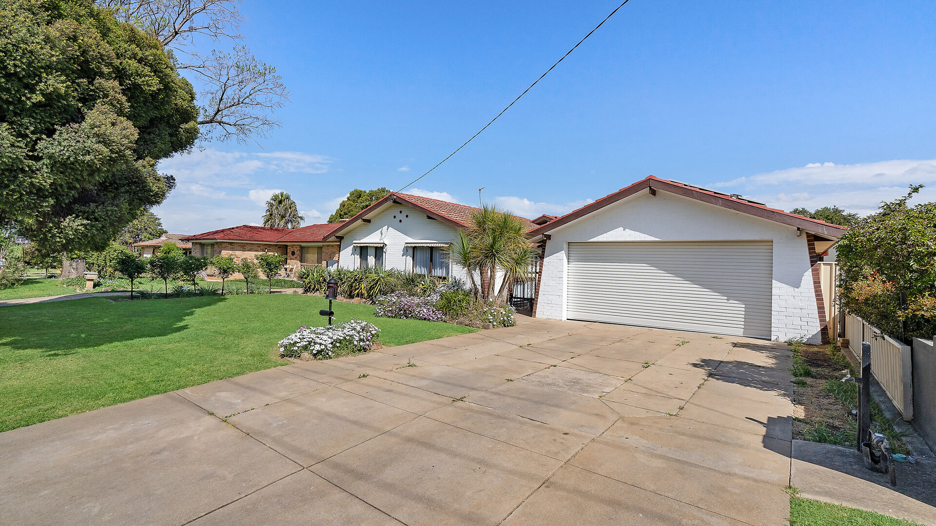 8 Carmody Street, Kooringal NSW 2650 - photo 19