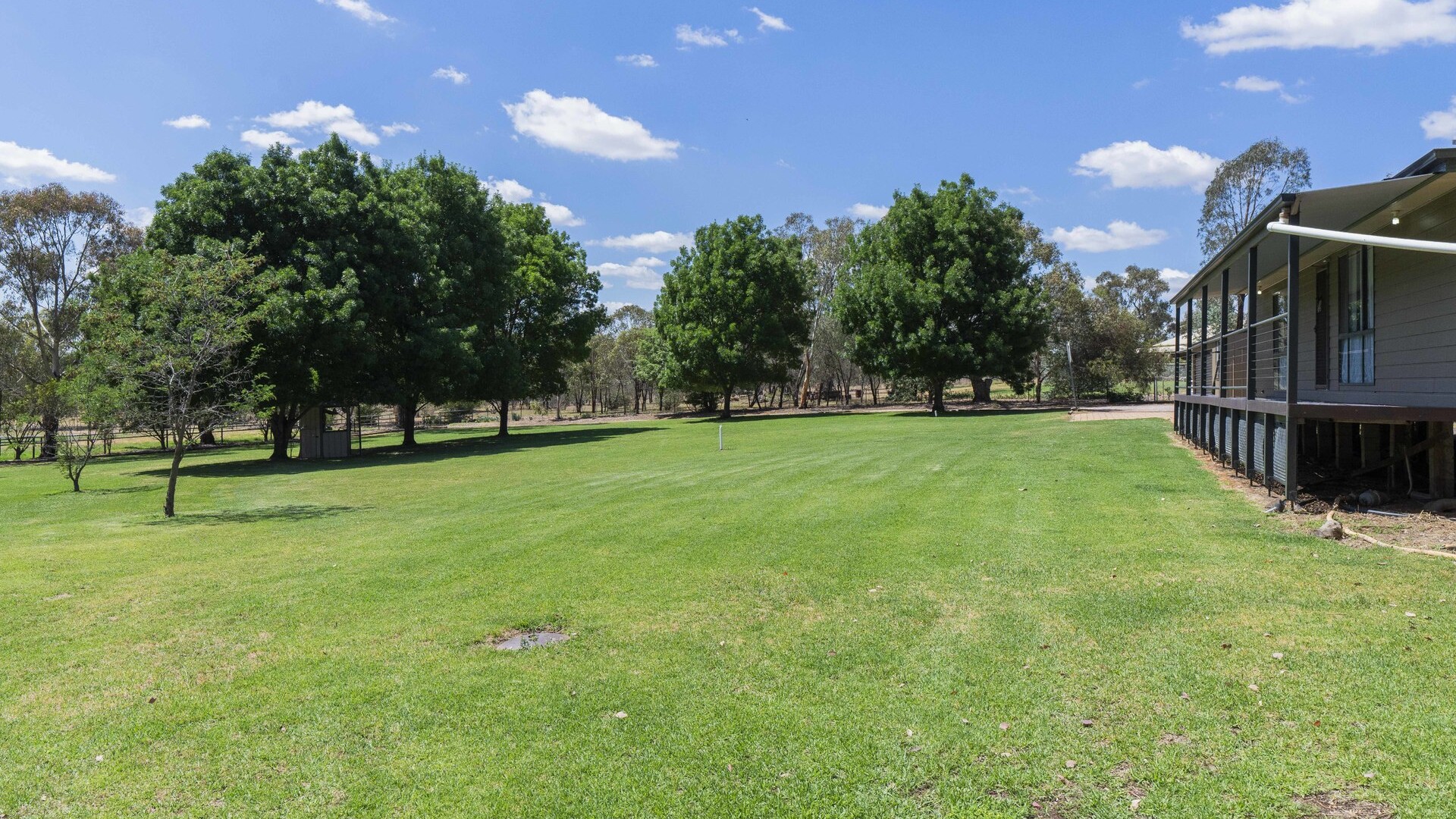80 Carbone Road, Leeton NSW 2705 - photo 13