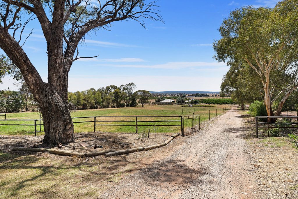 80 Carbone Road, Leeton NSW 2705 - photo 14
