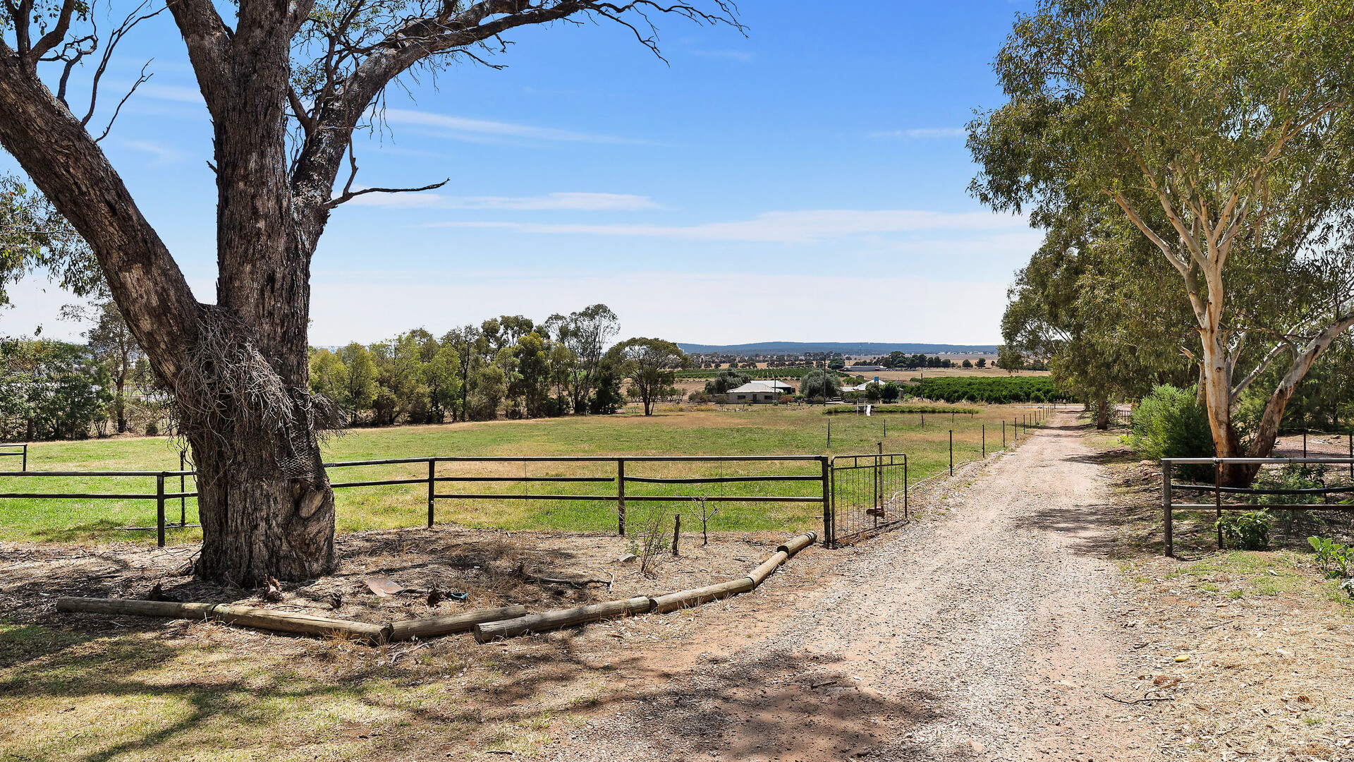 80 Carbone Road, Leeton NSW 2705 - photo 14