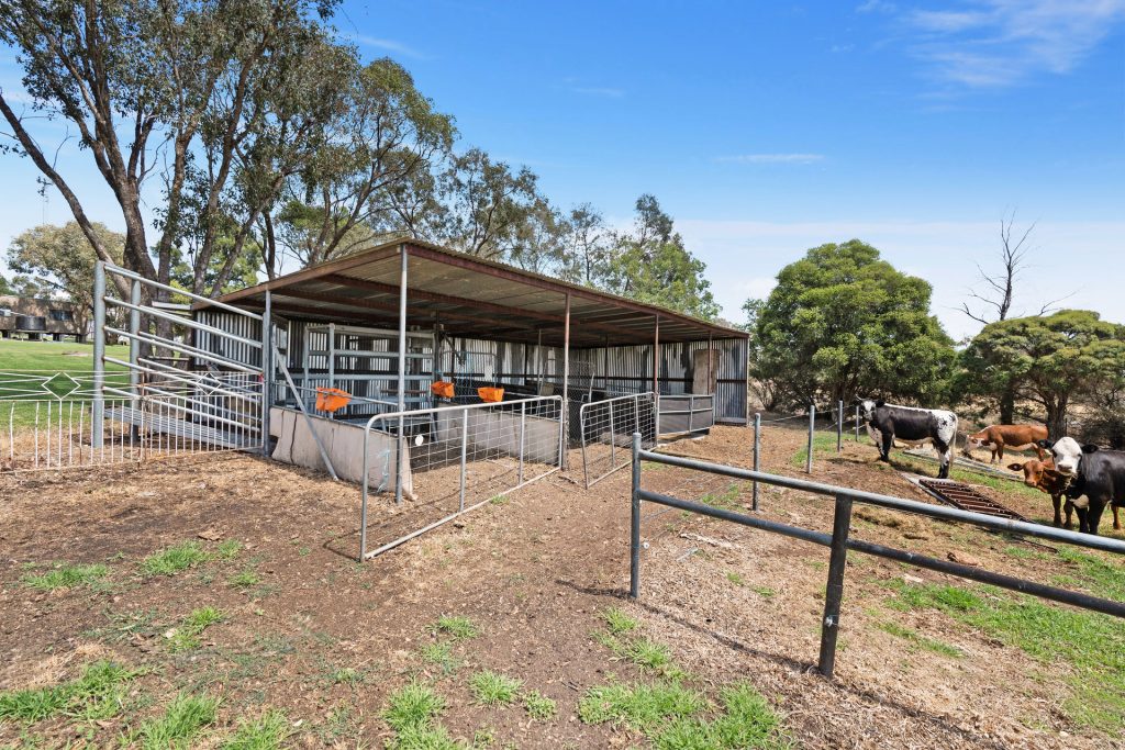 80 Carbone Road, Leeton NSW 2705 - photo 15