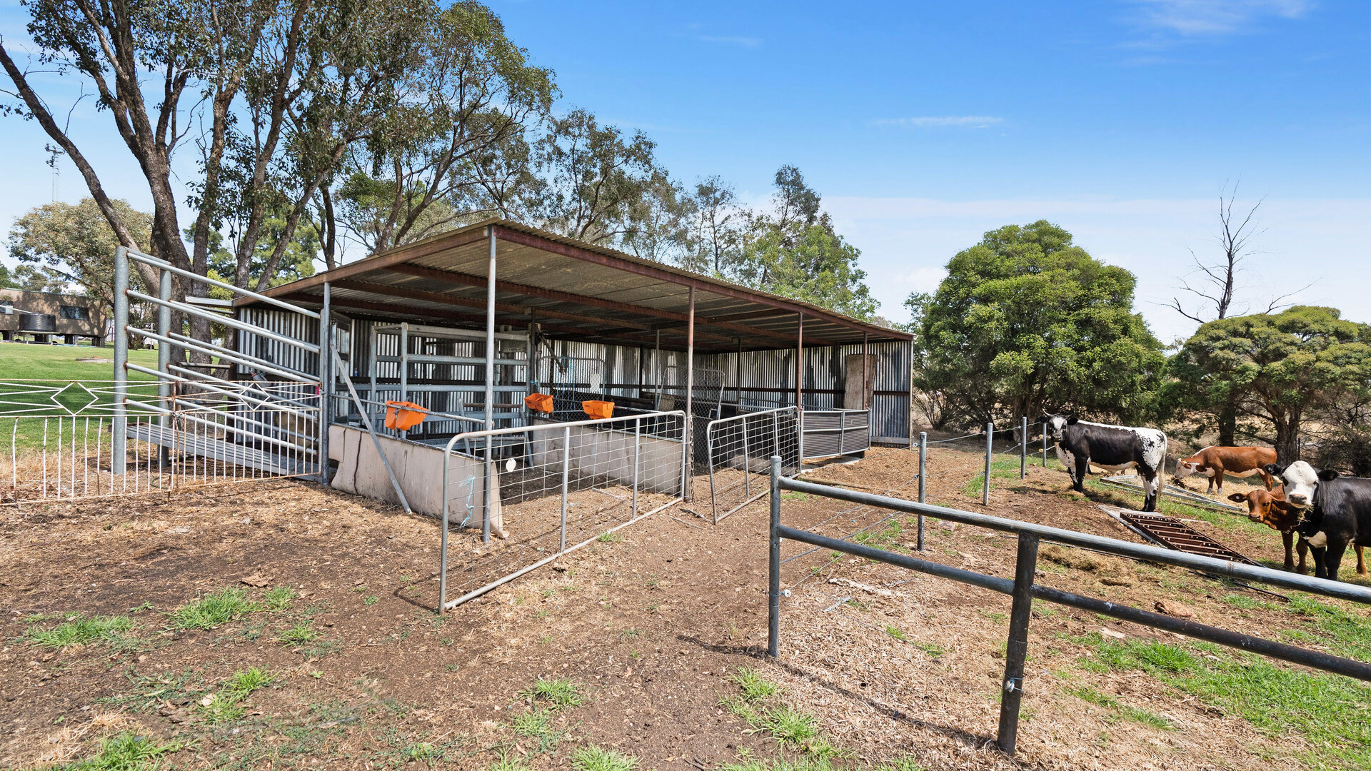 80 Carbone Road, Leeton NSW 2705 - photo 15