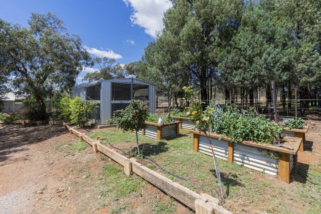 80 Carbone Road, Leeton NSW 2705 - photo 16