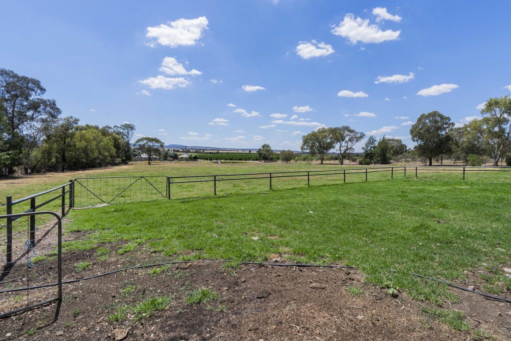80 Carbone Road, Leeton NSW 2705 - photo 18