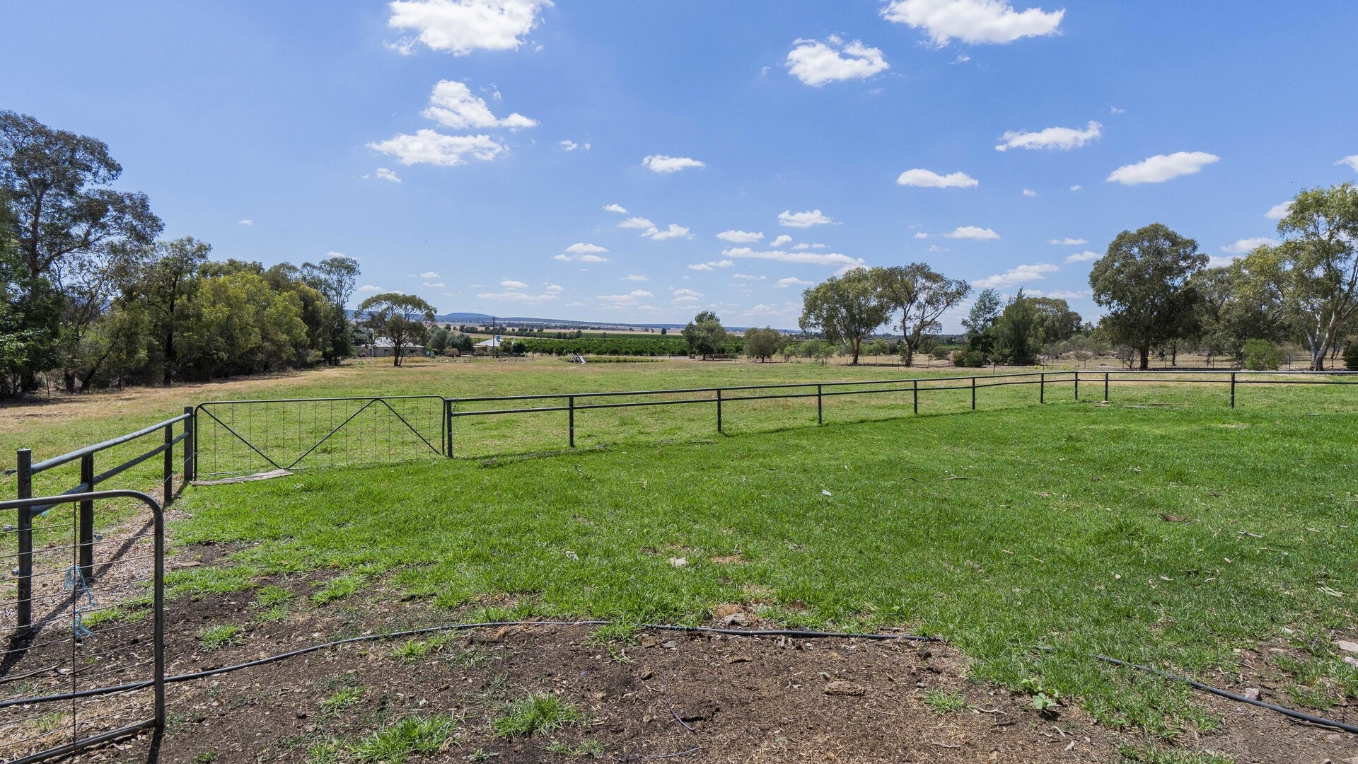 80 Carbone Road, Leeton NSW 2705 - photo 18