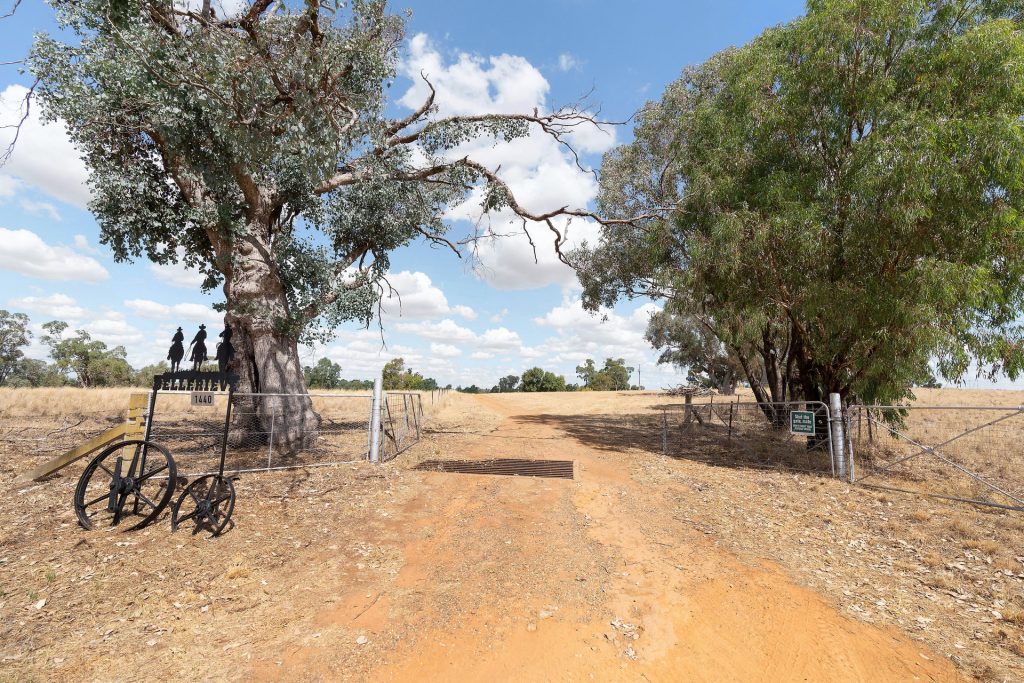 1440 The Rock-Mangoplah Road, Mangoplah NSW 2652 - photo 2