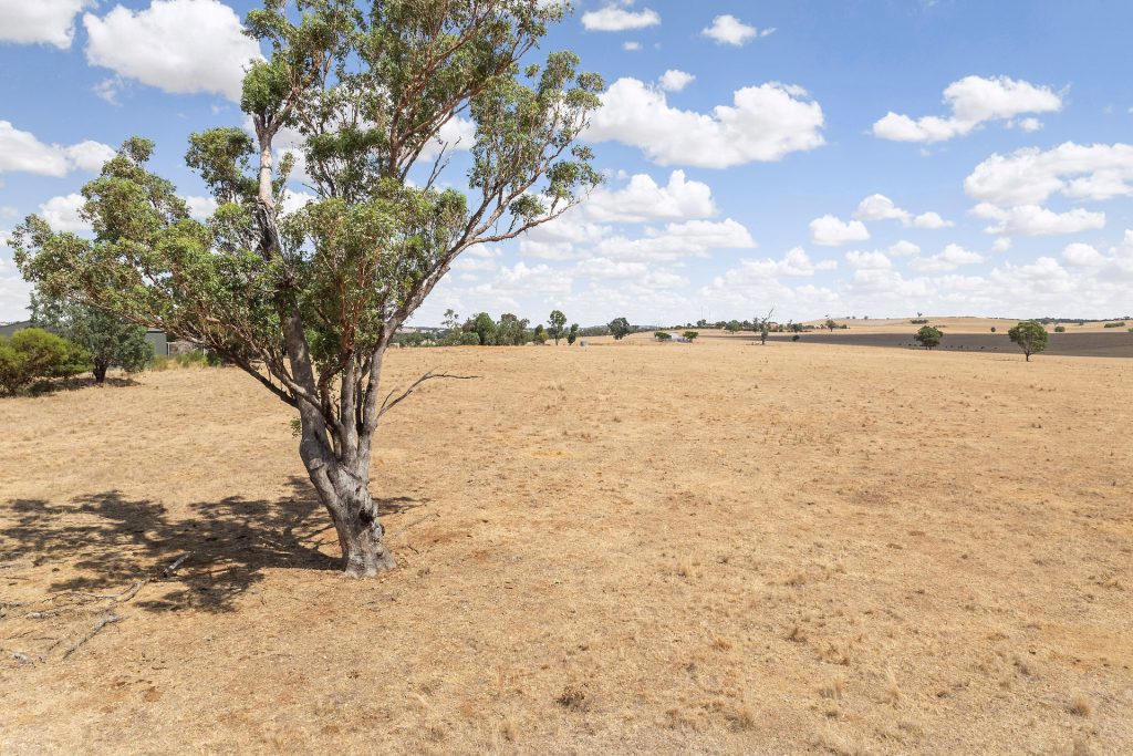1440 The Rock-Mangoplah Road, Mangoplah NSW 2652 - photo 11