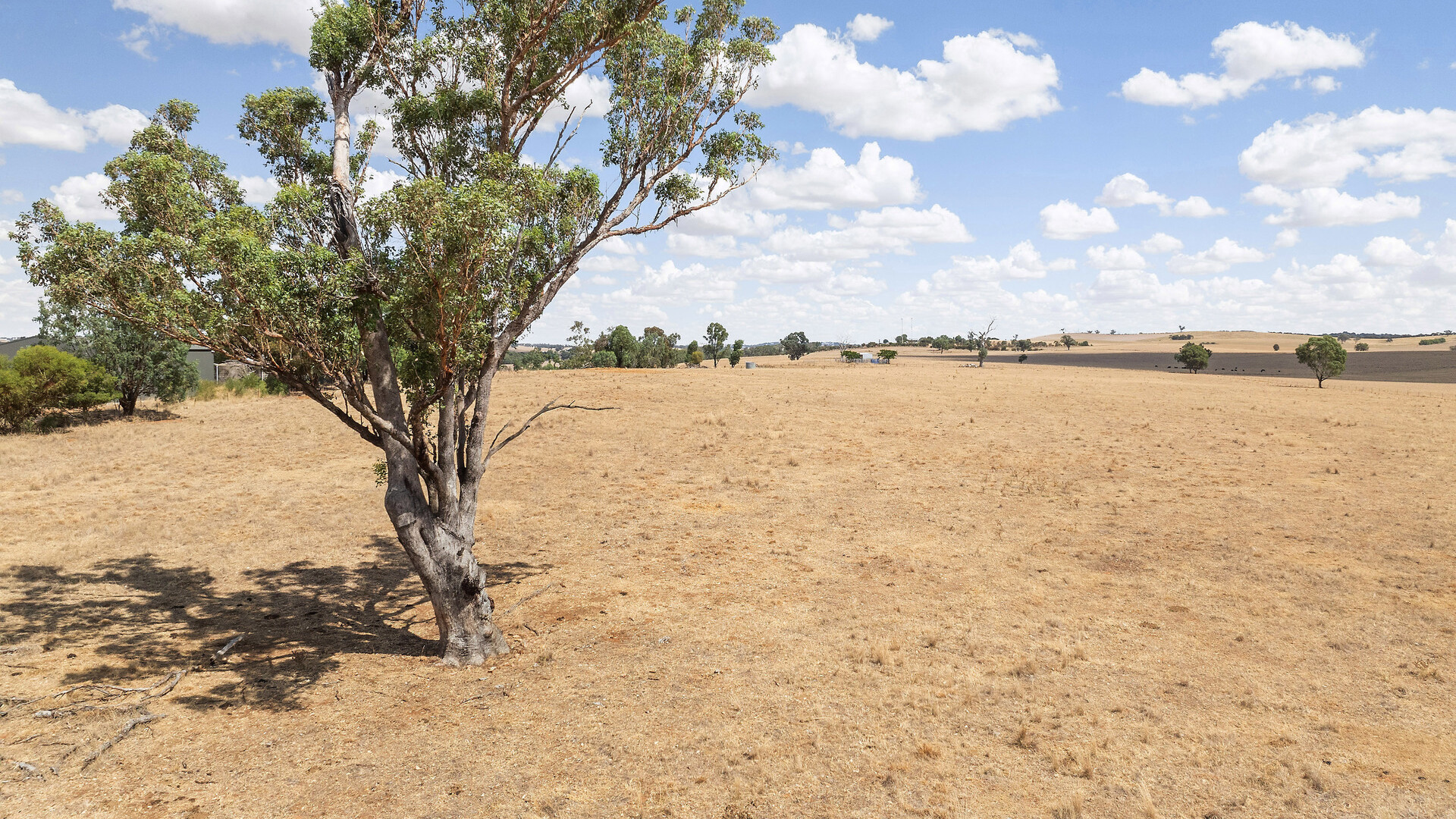 1440 The Rock-Mangoplah Road, Mangoplah NSW 2652 - photo 11