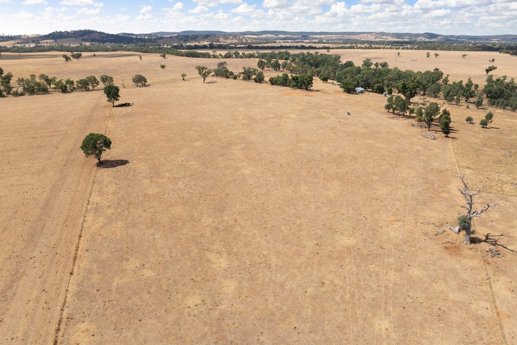 1440 The Rock-Mangoplah Road, Mangoplah NSW 2652 - photo 7
