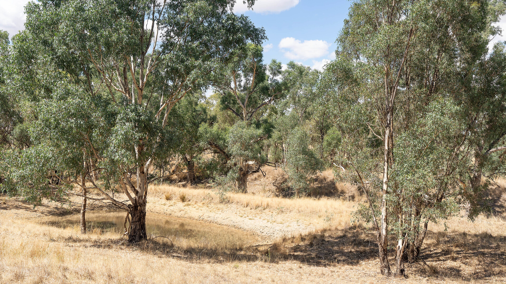 1440 The Rock-Mangoplah Road, Mangoplah NSW 2652 - photo 10
