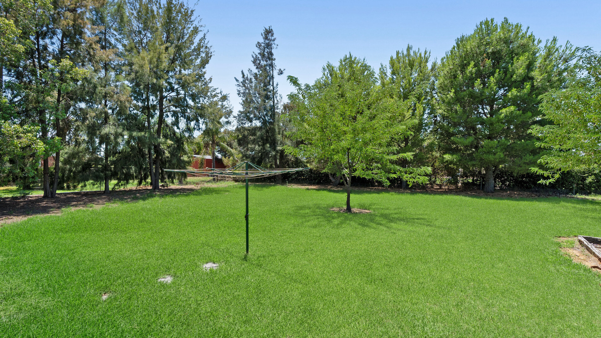 17 Lansdowne Road, Leeton NSW 2705 - photo 14
