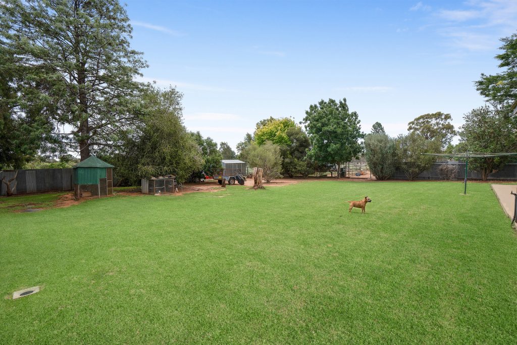 38 Old School Road, Narrandera NSW 2700 - photo 16