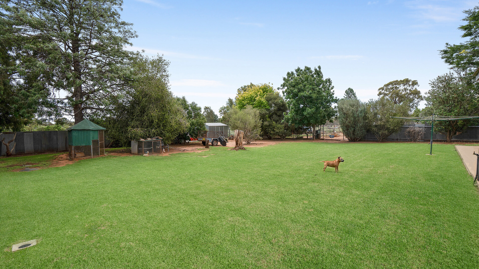 38 Old School Road, Narrandera NSW 2700 - photo 16