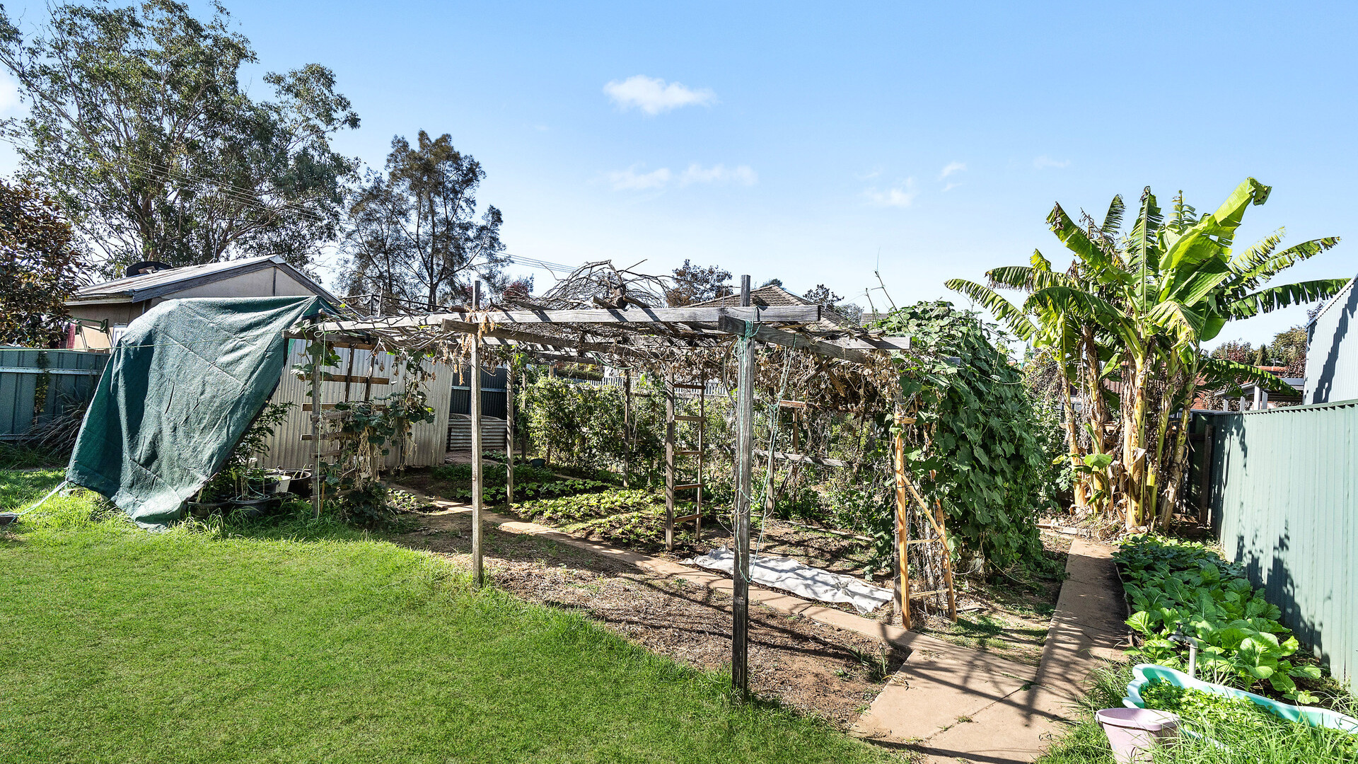 25 Bourke Street, Turvey Park NSW 2650 - photo 16