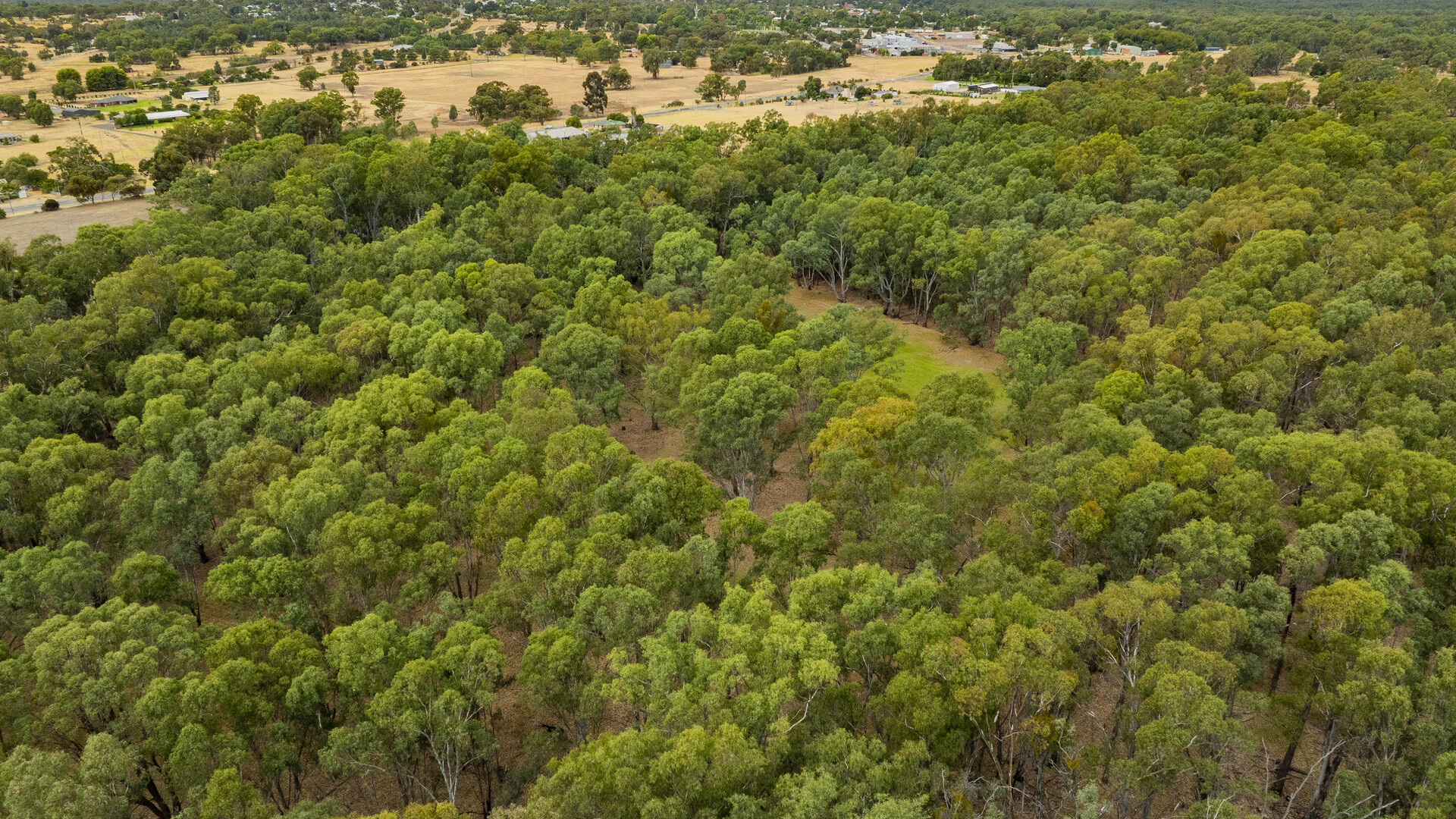 27 Mclays Road, Narrandera NSW 2700 - photo 8