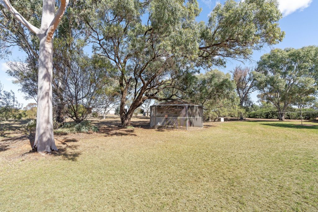 73 Brown Road, Leeton NSW 2705 - photo 18