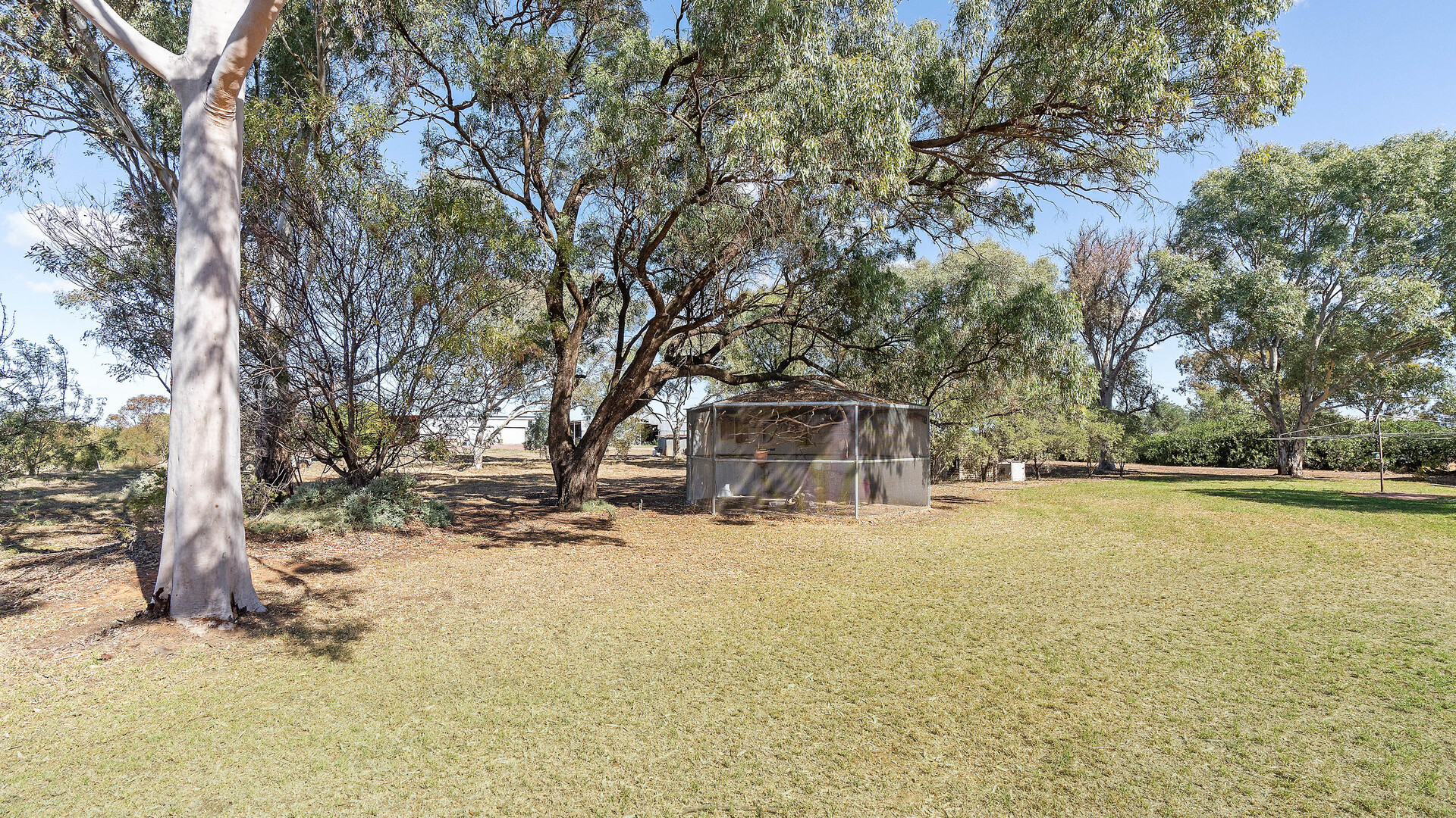 73 Brown Road, Leeton NSW 2705 - photo 18