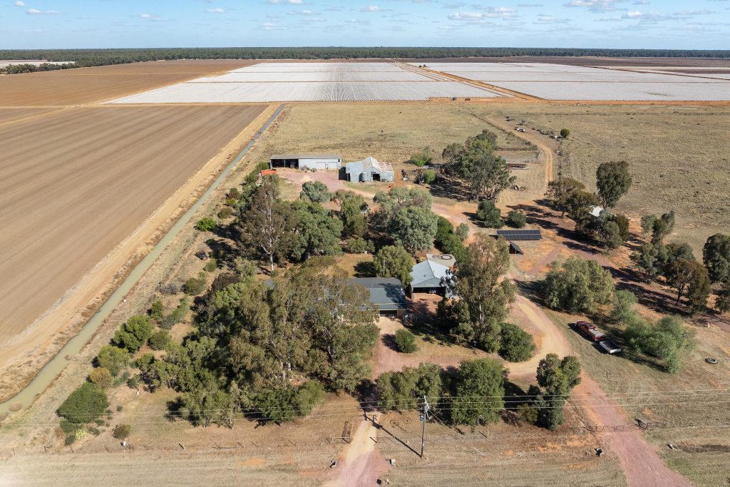 73 Brown Road, Leeton NSW 2705 - photo 19