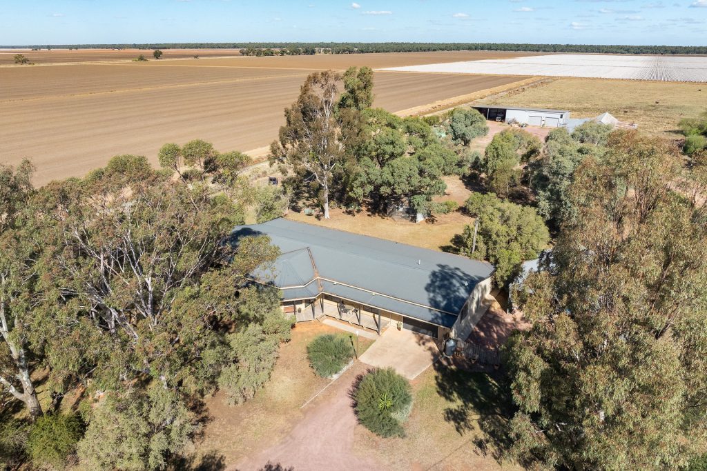 73 Brown Road, Leeton NSW 2705 - photo 20