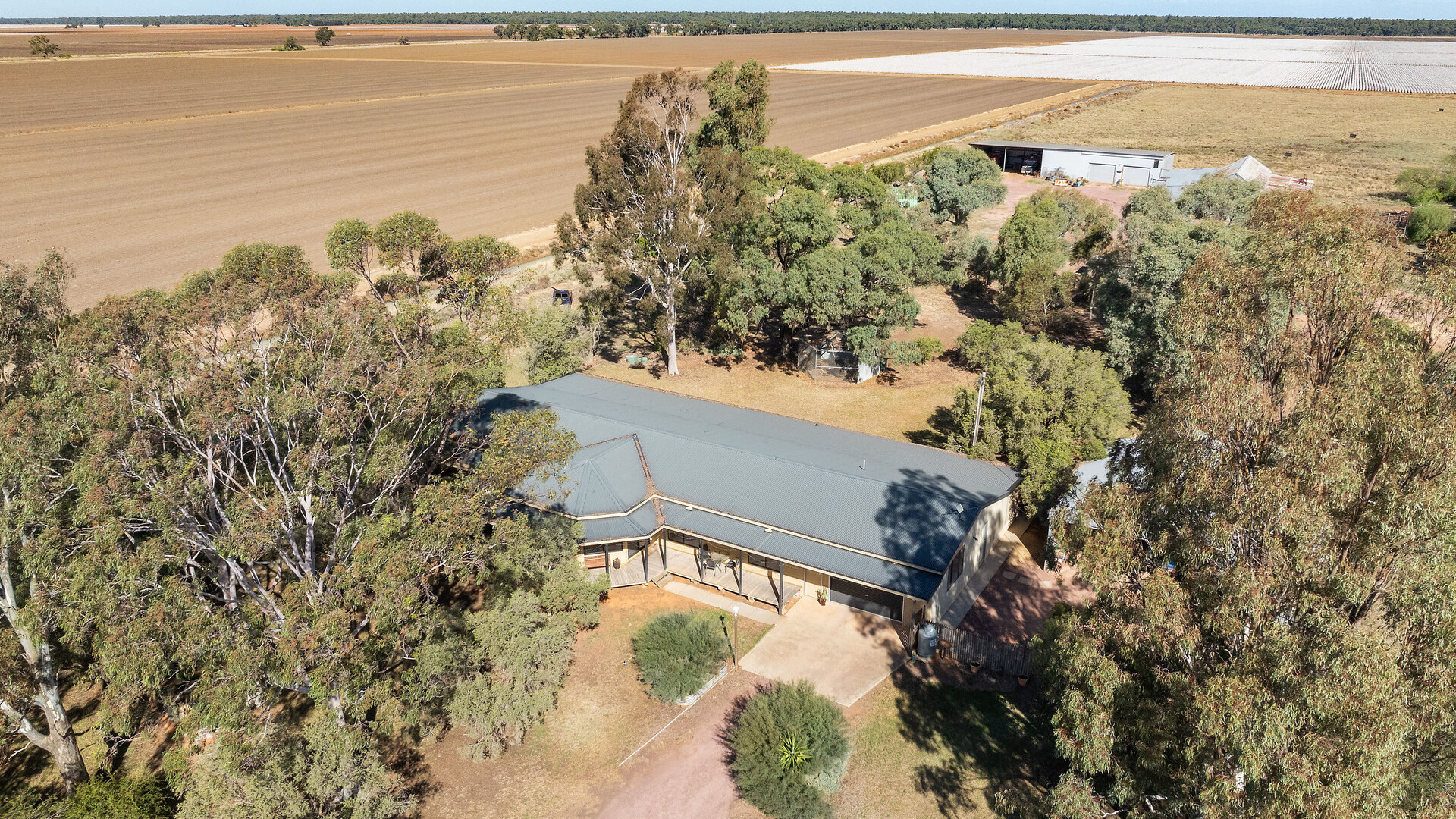 73 Brown Road, Leeton NSW 2705 - photo 20