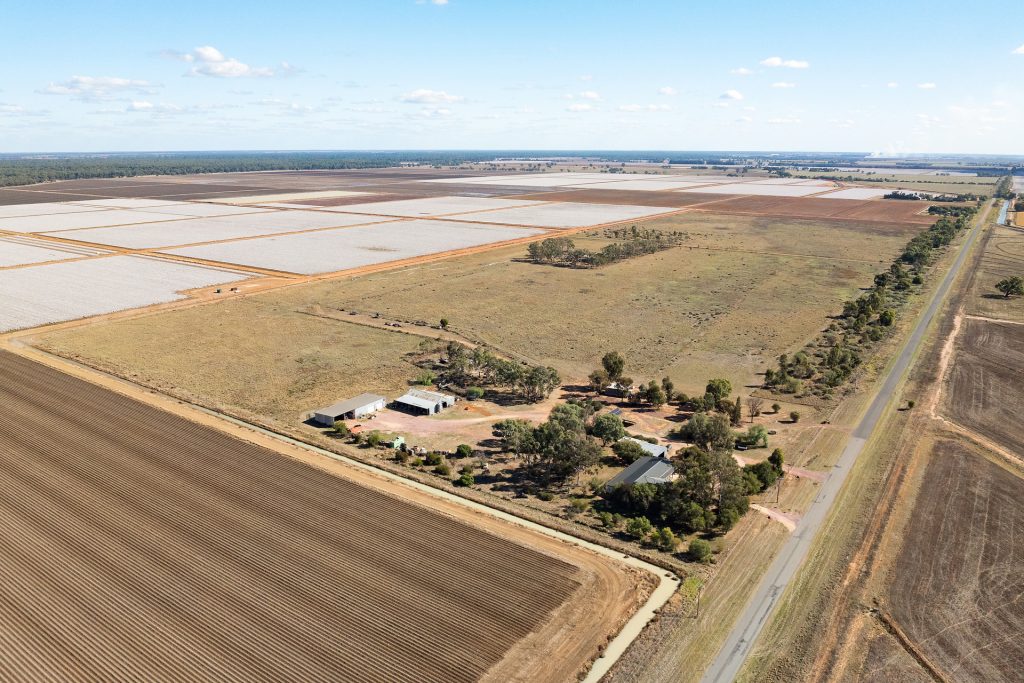 73 Brown Road, Leeton NSW 2705 - photo 22