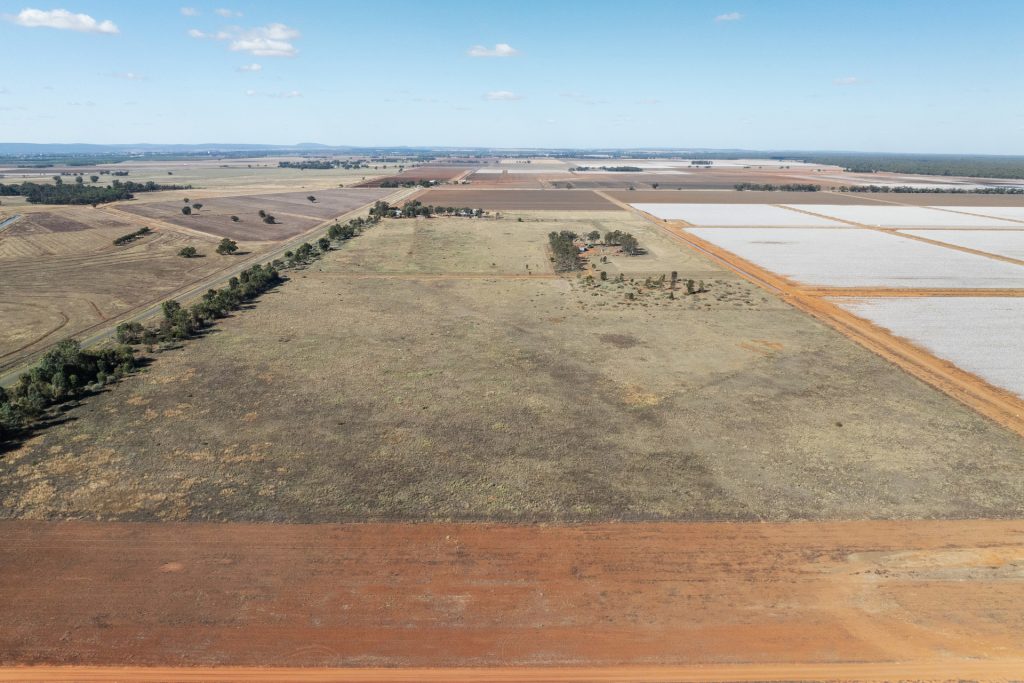 73 Brown Road, Leeton NSW 2705 - photo 23