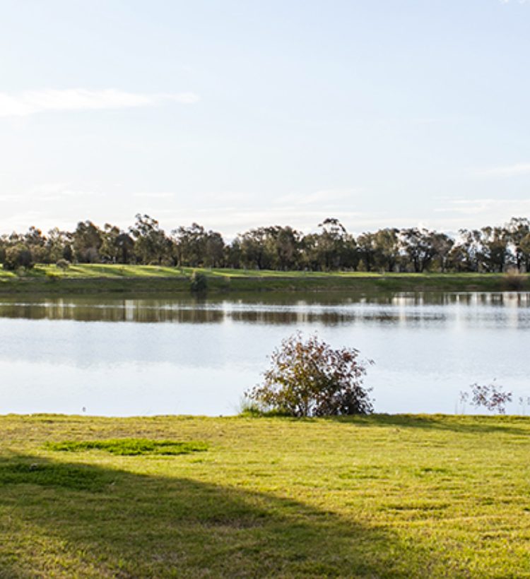Temora Temora