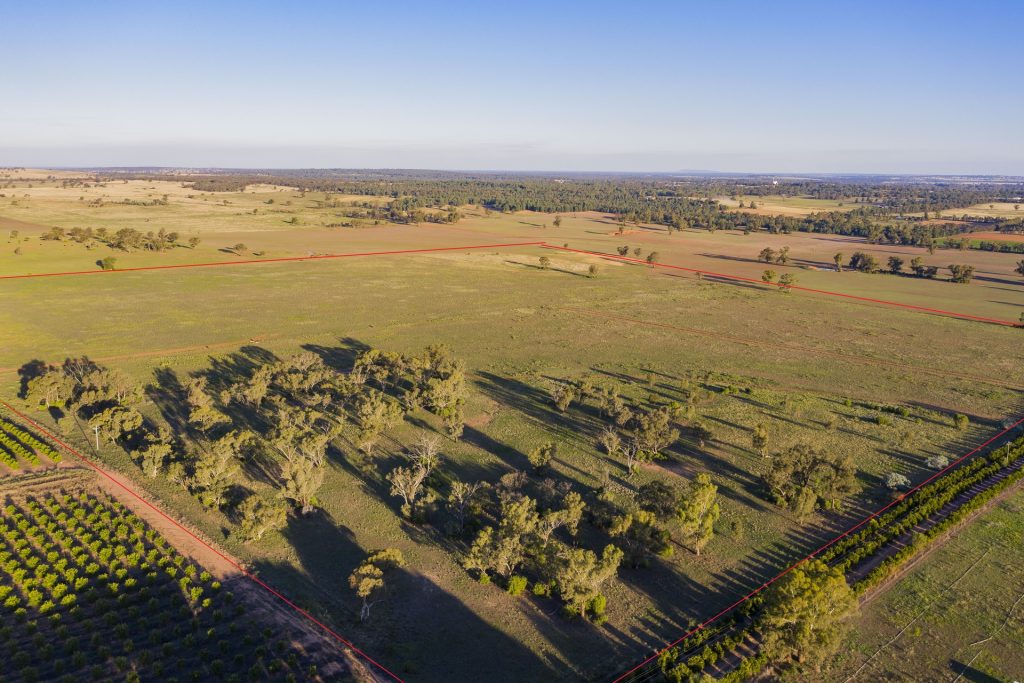 Sold - 10 Barrats Road - New Property in Narrandera - Real Estate by Andrew Pellow