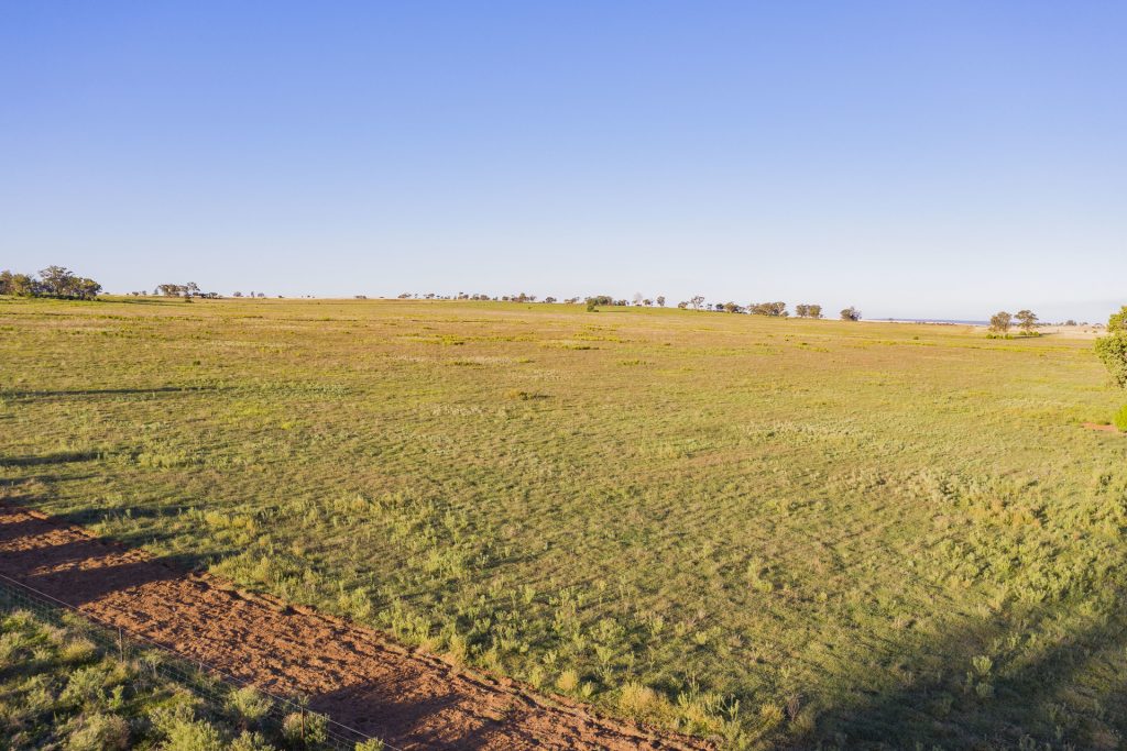 Sold - 10 Barrats Road - New Property in Narrandera - Real Estate by Andrew Pellow