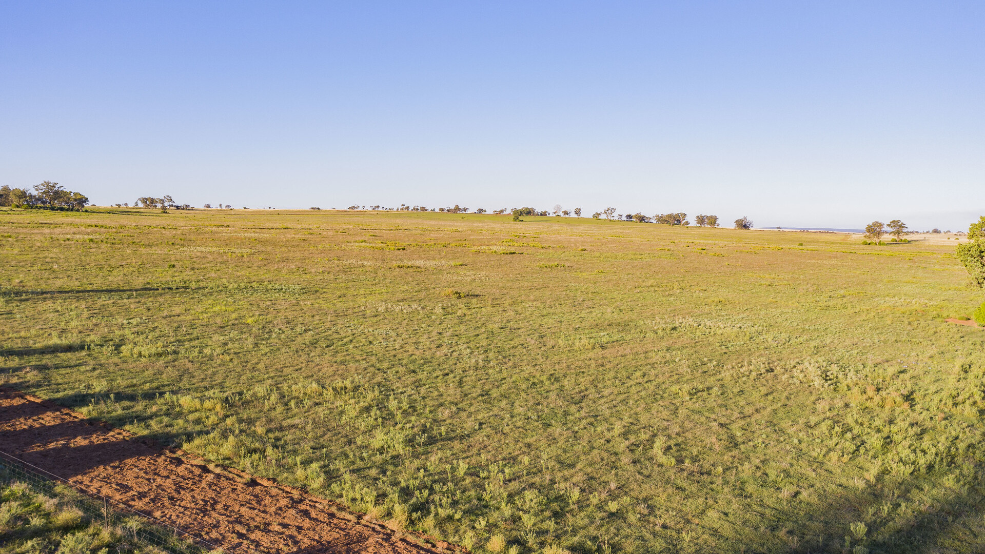 Sold - 10 Barrats Road - New Property in Narrandera - Real Estate by Andrew Pellow