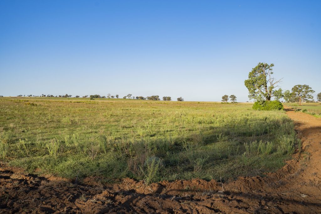 Sold - 10 Barrats Road - New Property in Narrandera - Real Estate by Andrew Pellow