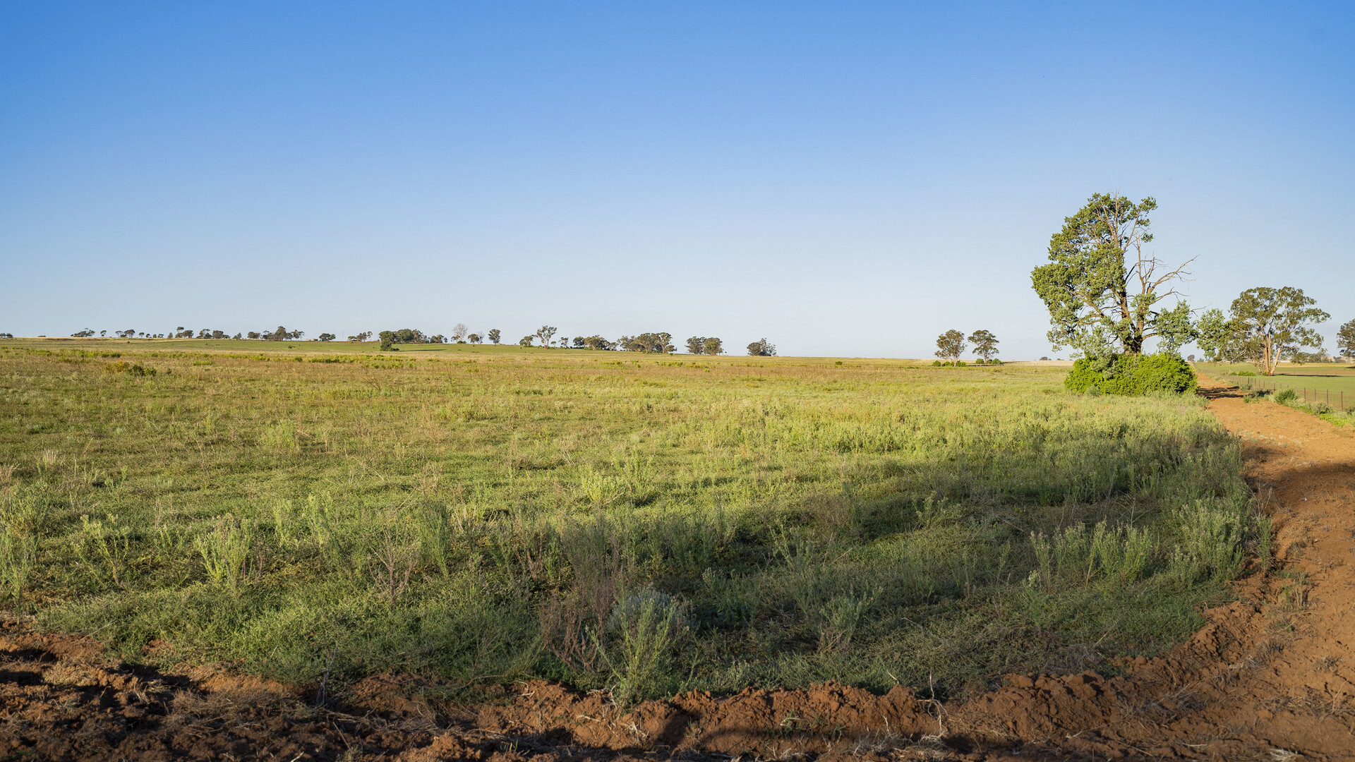 Sold - 10 Barrats Road - New Property in Narrandera - Real Estate by Andrew Pellow