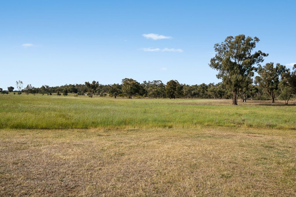 Sold - 248 Bygoo Road - New Property in Ardlethan - Real Estate by Jason Haines