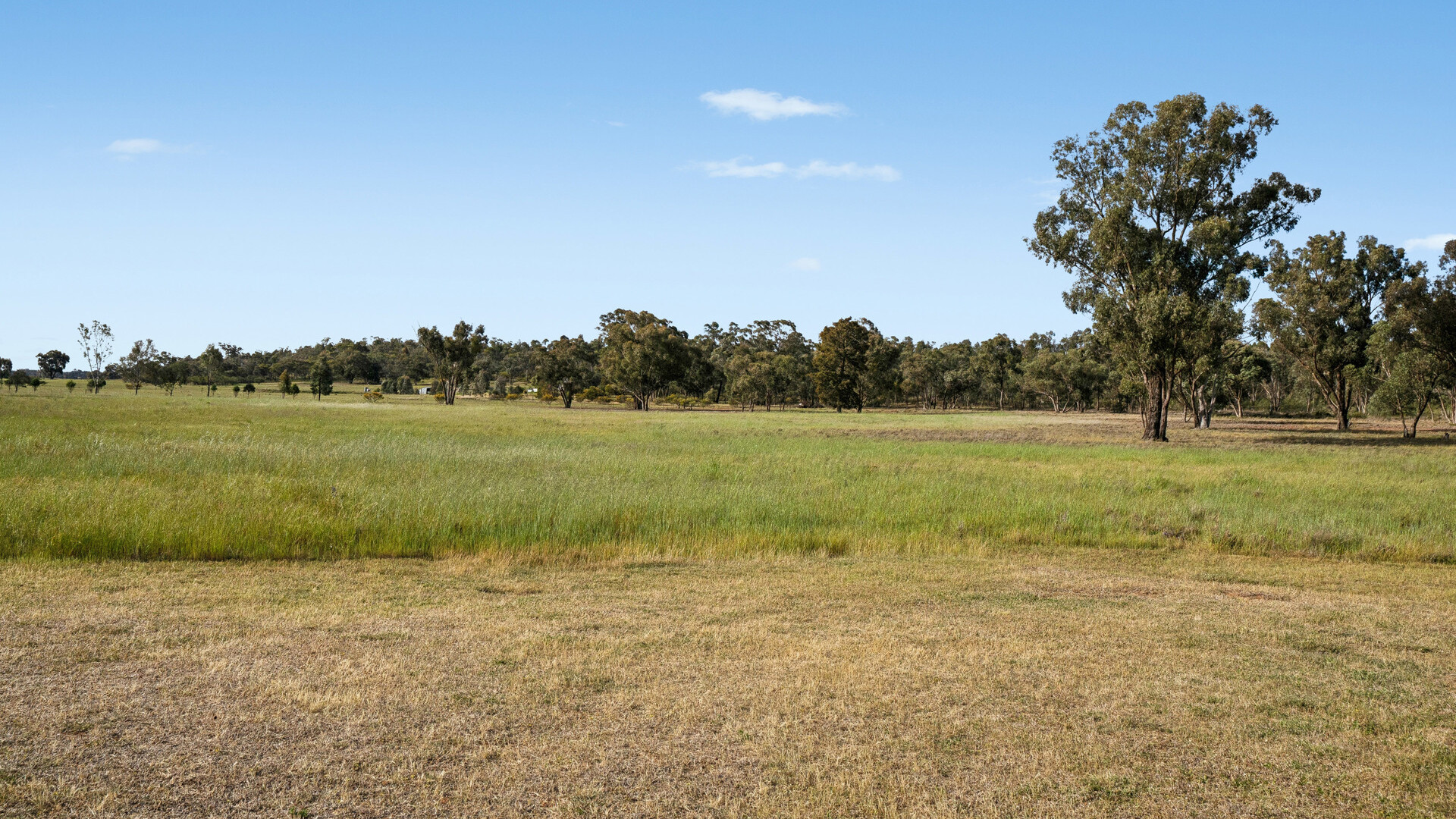 Sold - 248 Bygoo Road - New Property in Ardlethan - Real Estate by Jason Haines