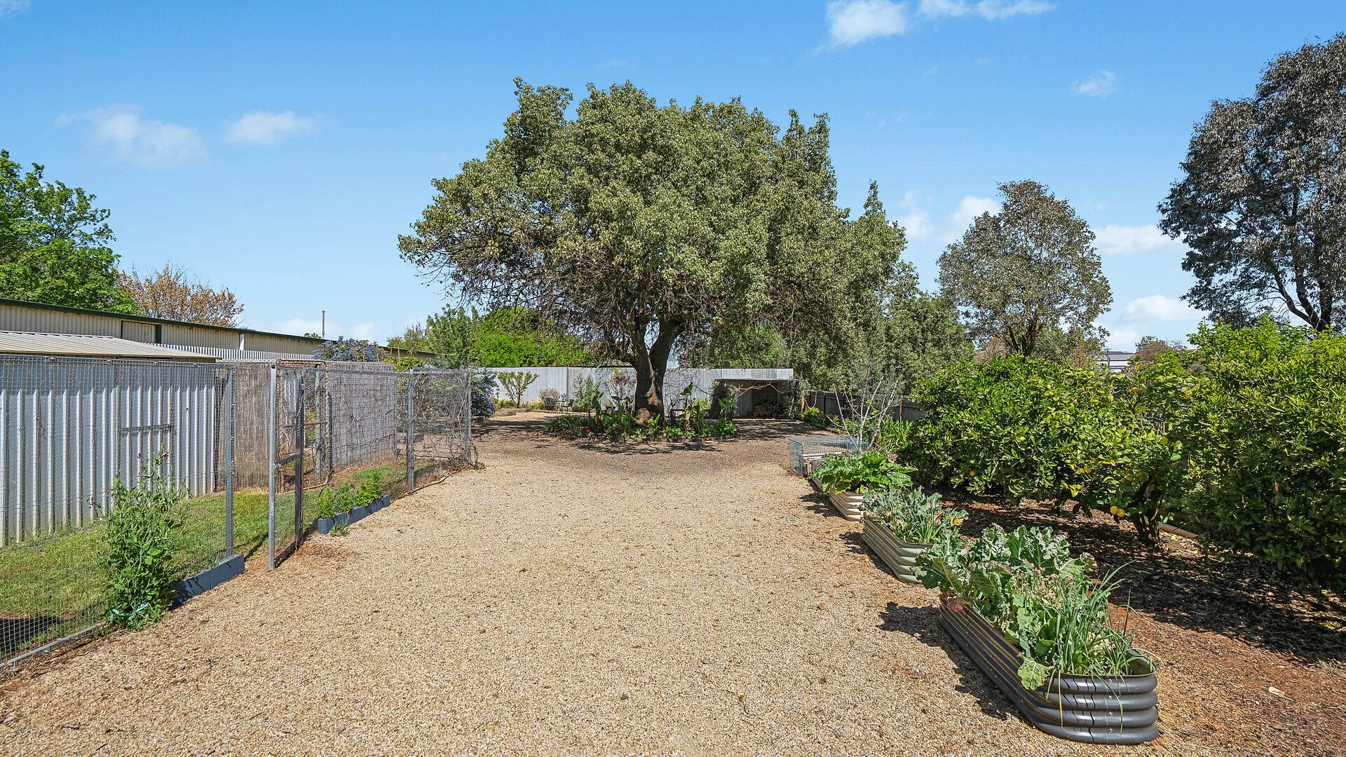 140 Polaris Street, Temora NSW 2666 - photo 21